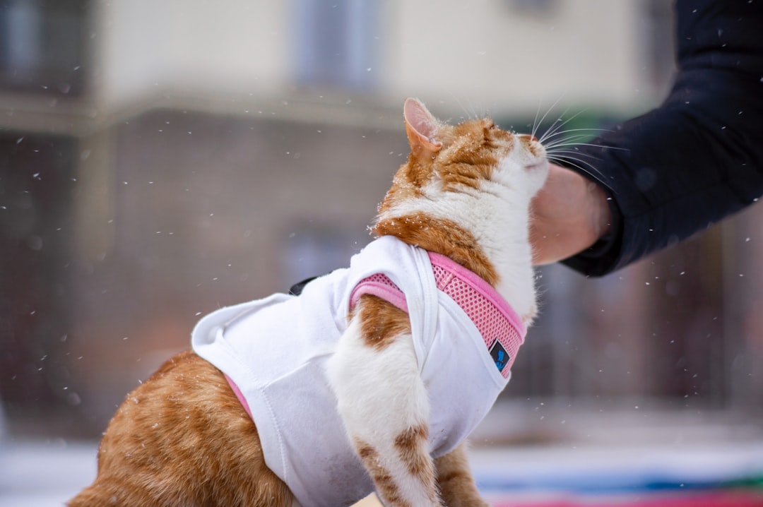 De juiste hoepelrok kiezen voor onder jouw trouwjurk